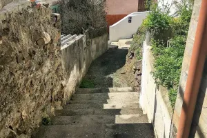 Urodzinowe Camino