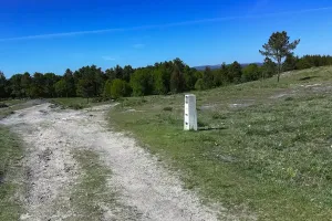 Urodzinowe Camino