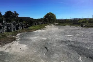 Urodzinowe Camino